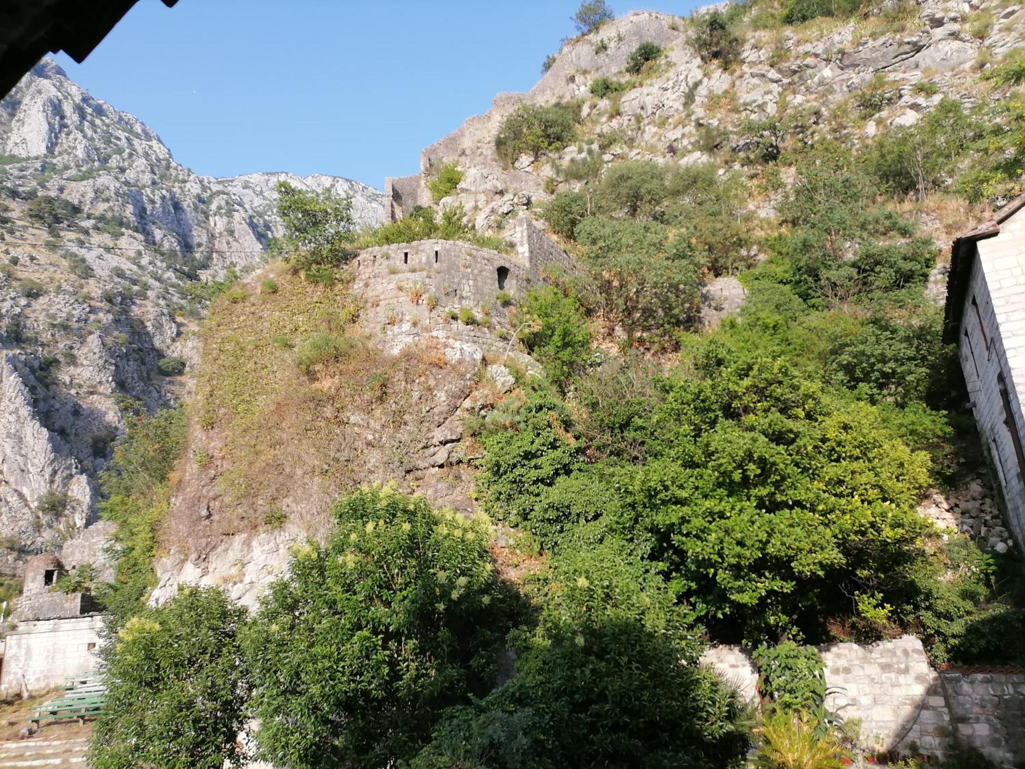 Apartments Dukic Kotor Zimmer foto